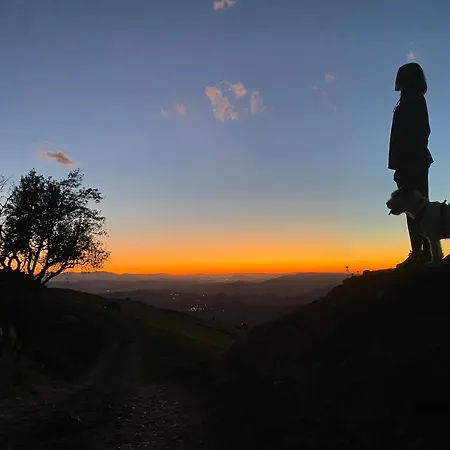 En Casco Historico De 公寓