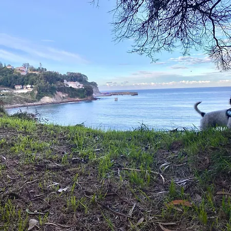 En Casco Historico De *