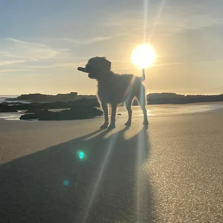 En Casco Historico De